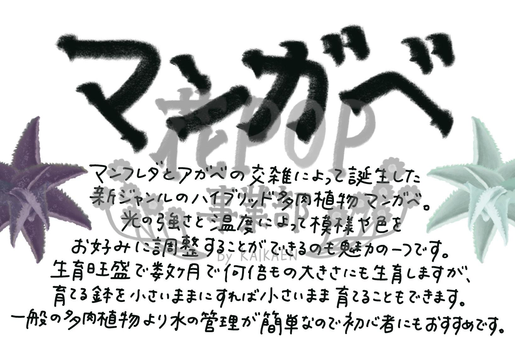 マンガベ