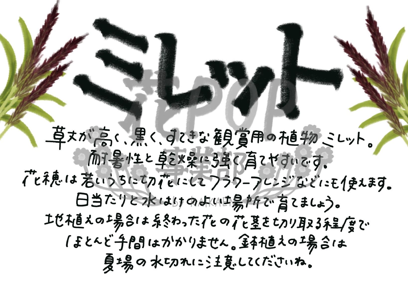 ミレット
