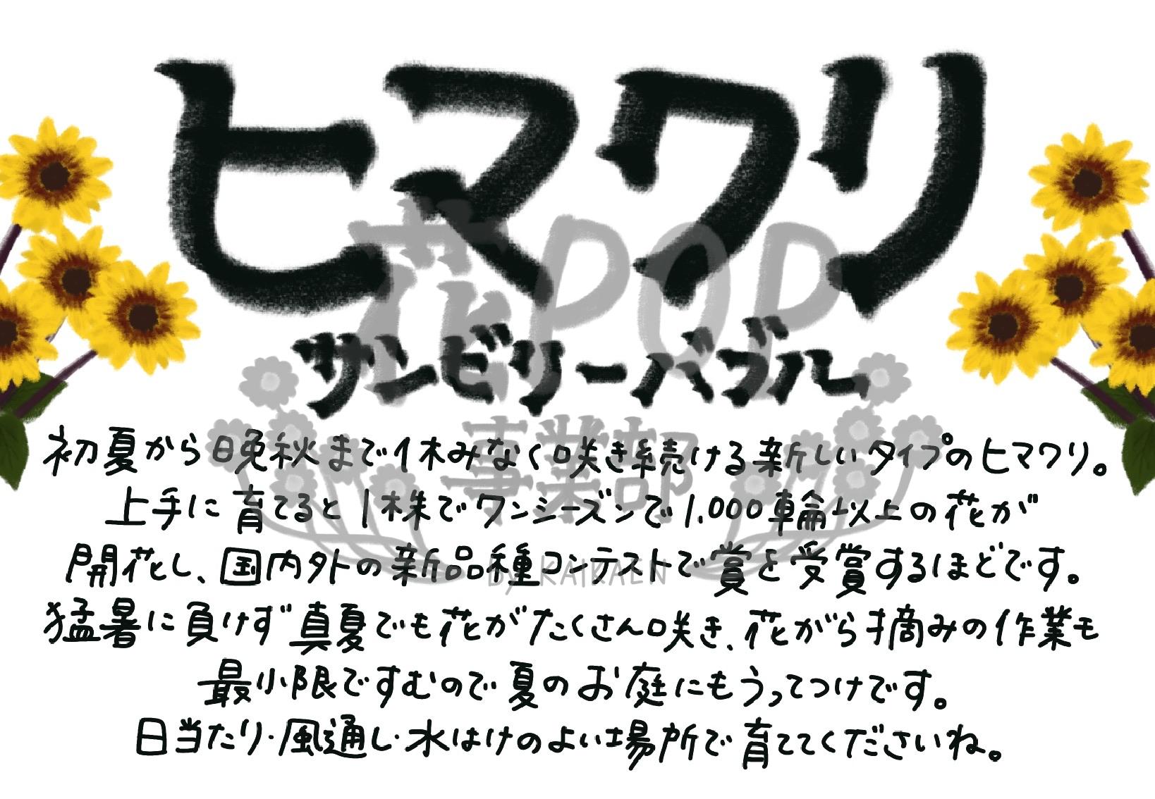 ヒマワリ サンビリーバブル