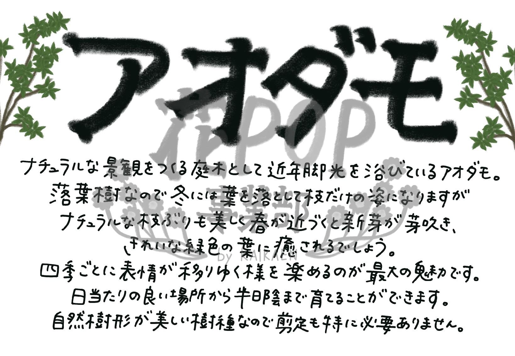 アオダモ