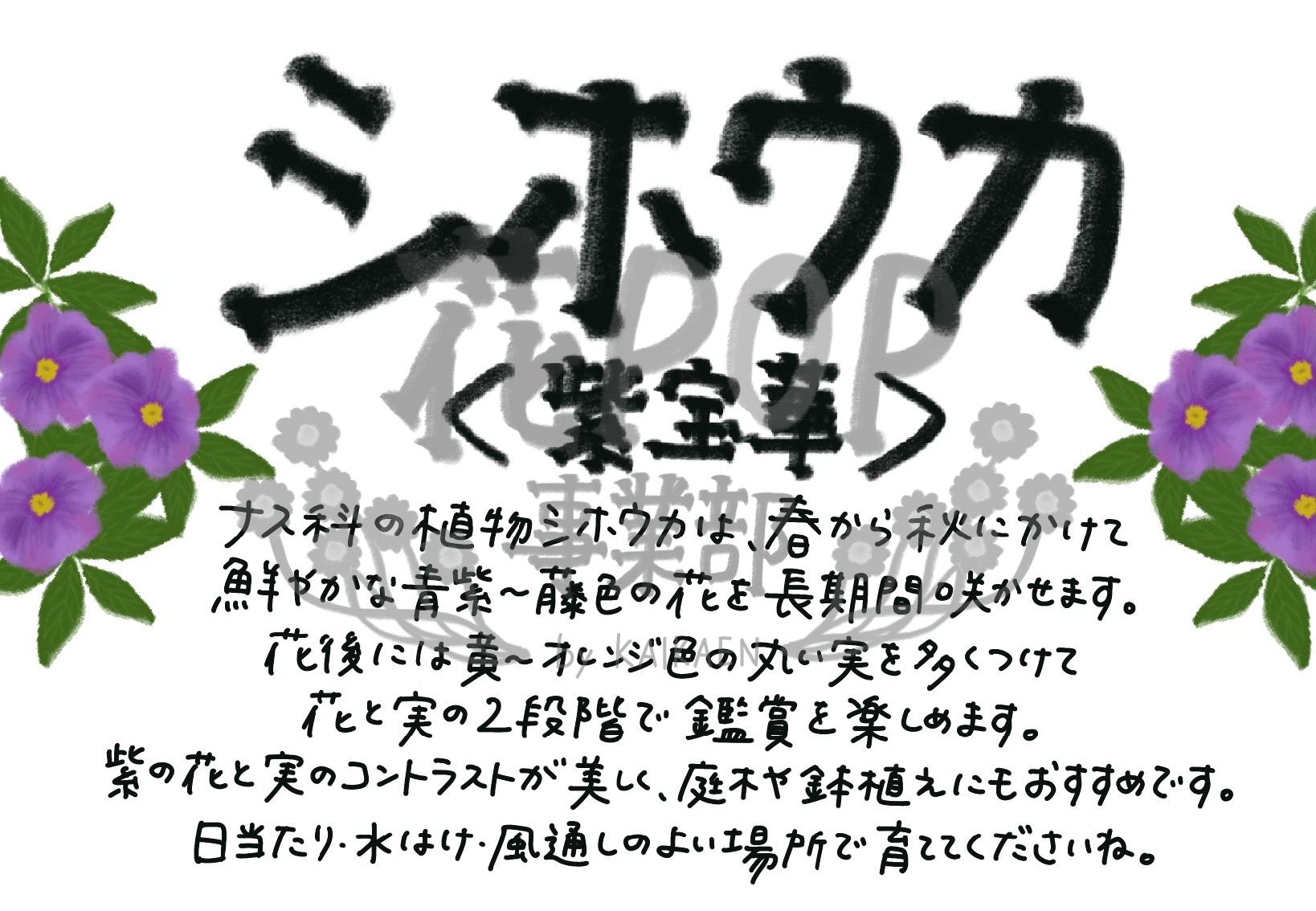 シホウカ