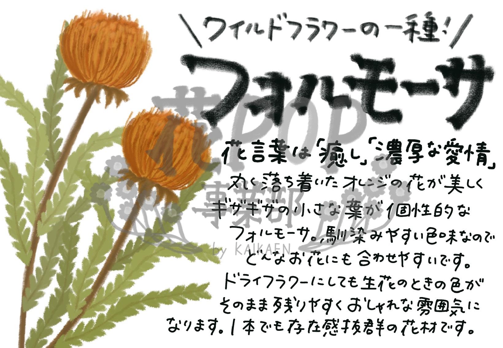 フォルモーサ