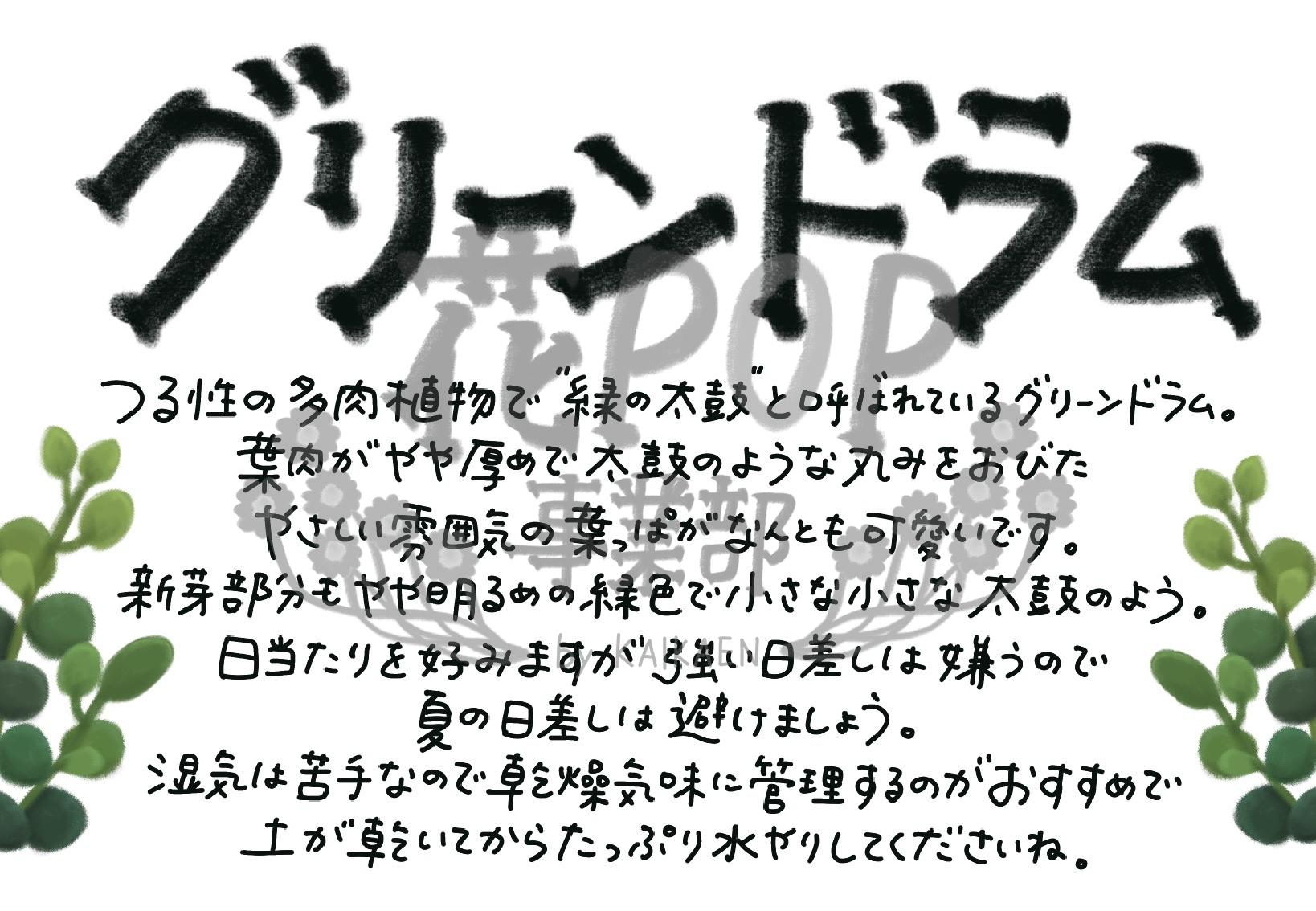 グリーンドラム