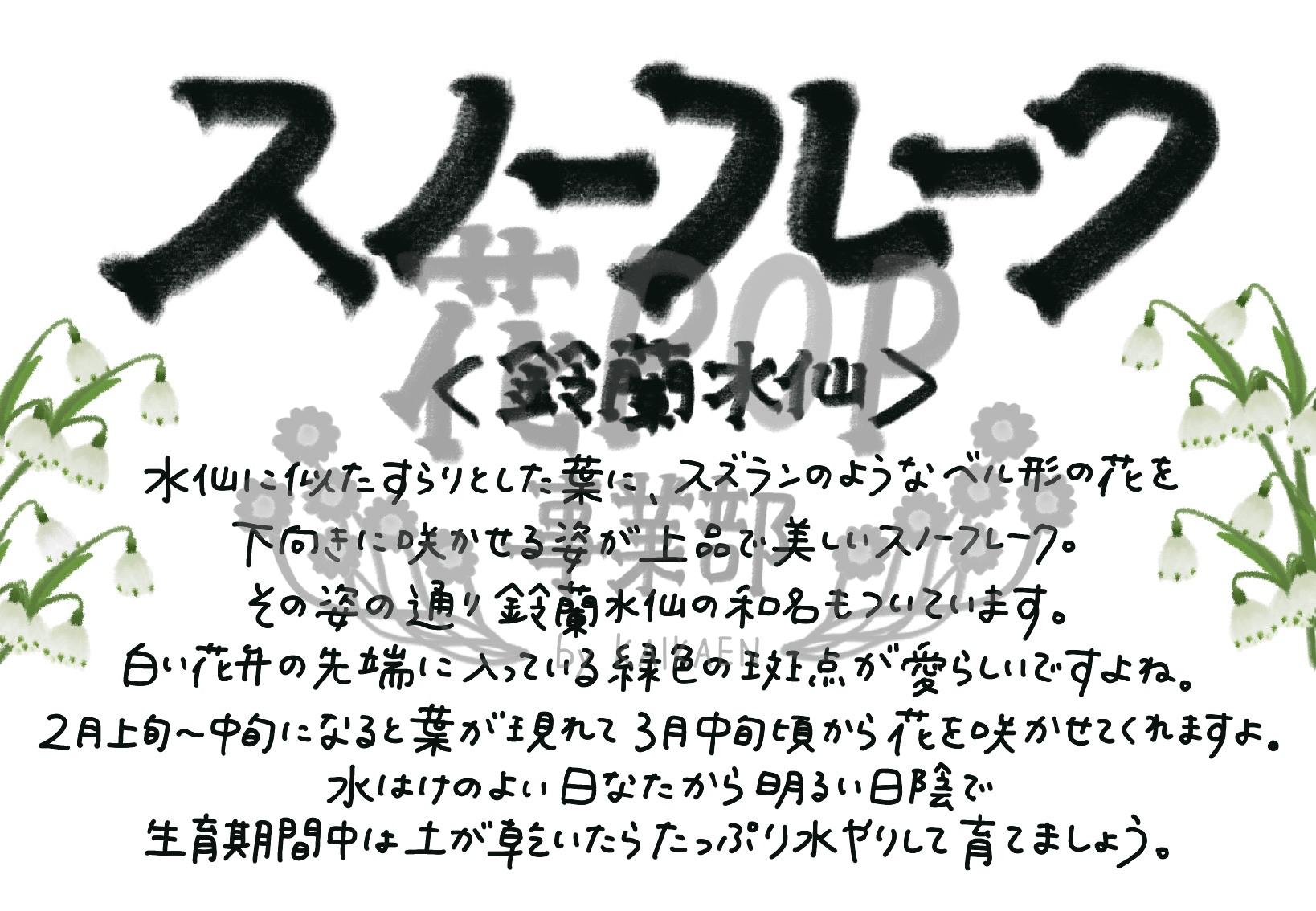 スノーフレーク